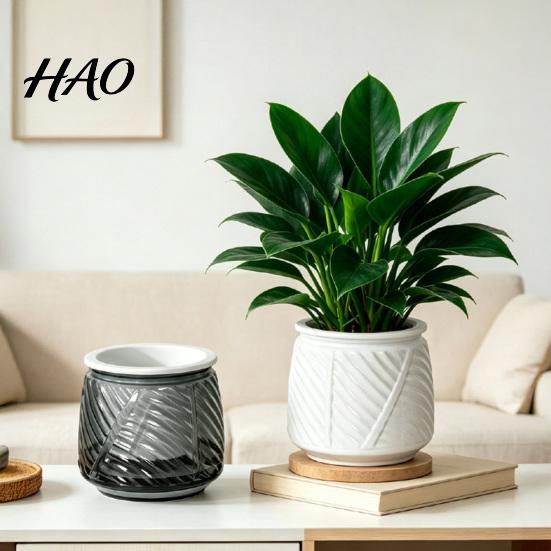 Small Flower Pot for Desk Self Watering Planter with Wick Rope Indoor Plants, Double Layer Modern Decorative Container Transparent Hydroponic Planter,