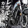 Daytona 91599 Helmet Lock for Motorcycles Helmet Holder for Revl 250/500 (17-23)