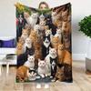 Ein Stück weiche Decke mit einer Katzengruppe, perfekt als Geschenk für Katzenliebhaber Decken