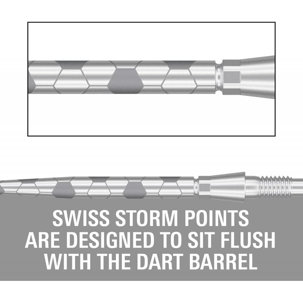 Target Darts Swiss Storm Onyx Dartspetsar Set om 3 30 mm Silver