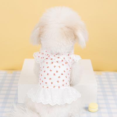 Bekleidung & Schuhe – Hundekleider
