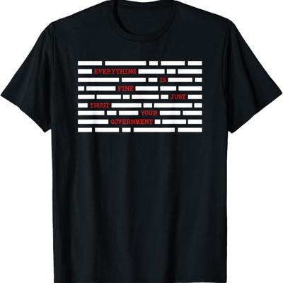 Conspiracy Theorist Everything Is Fine Trust Your Government T-Shirt