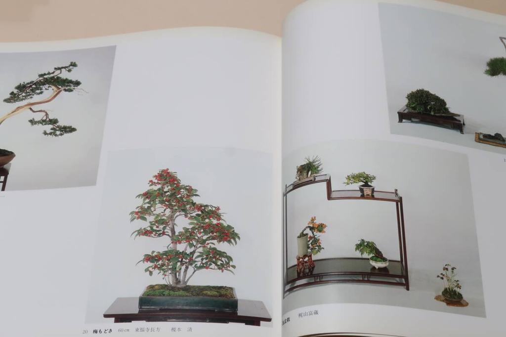 [USED] Bonsai Photo Book Set of 3 Issuten Exhibition 1978 1989 Japan Bonsai Association World Expo Japan Store
