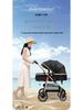 High Landscape Reversible Baby Stroller & Reclining Tricycle, Three-in-One with Large Wheels