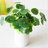 Artificial Plants Lotus Leaf Potting Materials Festival Room Home Decor Household Product Outdoor Pool Aquatic Green PlantBonsai