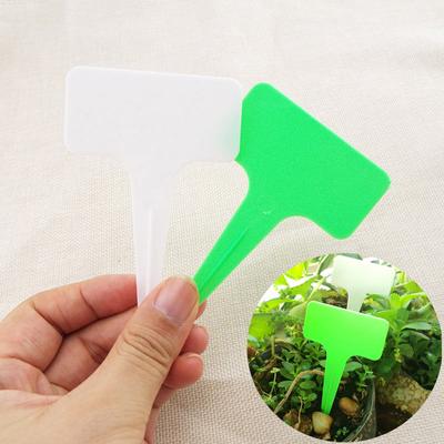 50ks 10cm Plastové PVC Rostlina T Štítky Štítky Květináče Vodotěsné popisovače Bylinky Potřeby zahradního nářadí