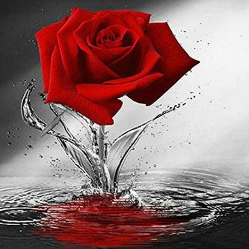 

5D DIY алмазна вишивка картина квіти фігура червоний пейзаж повна кругла дриль вишивка хрестиком мозаїка ручна робота Full Round 40x50CM