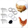 Poultry Pro Gravity Feeder: Chicken & Duck Feeding Bucket