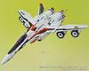 Aoshima Bunka Kyozai VFG Macross F Universal Decal Set for Plastic Decals VF-25 Models, MC-19 (Airplane)