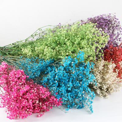 Aeonium Bouquet Dried Flowers Vibrant Color Non-fading Easy Maintenance Natural Dried Gypsophila Valentine's Day Decoration Scene