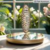 2D Flat, 1pc Round Aluminum Sign, Vintage Aluminum Plaque About "Mineral Types", "Ore Specimen Appreciation" Decorative Sign, Suitable for Study