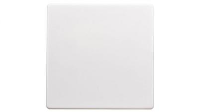 Berker Q.1 Single Key For Key Switch Snow White Velvet 16206089