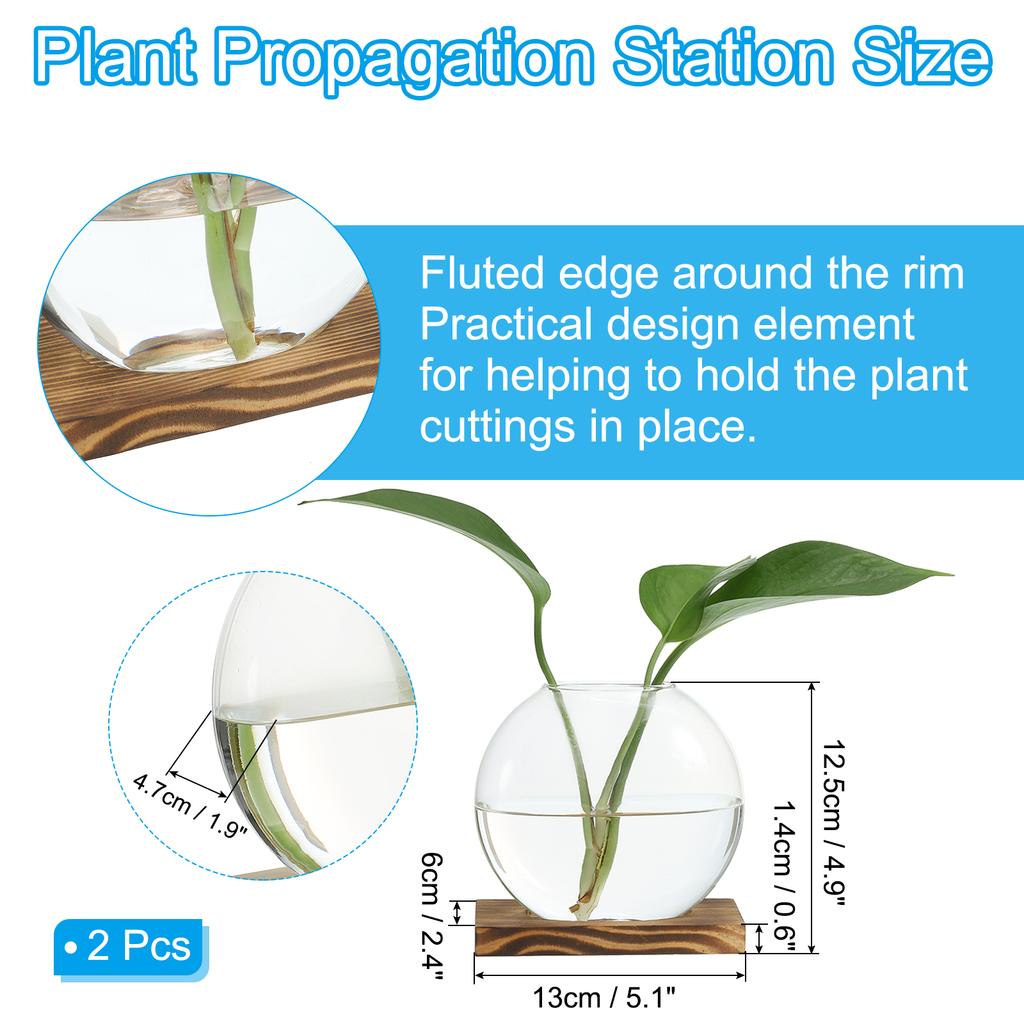 2pcs Hydroponics Glass Vase with Wooden Tray Bud Vases Plant Propagation Station Flower Vase for Bedroom Home Table Decoration