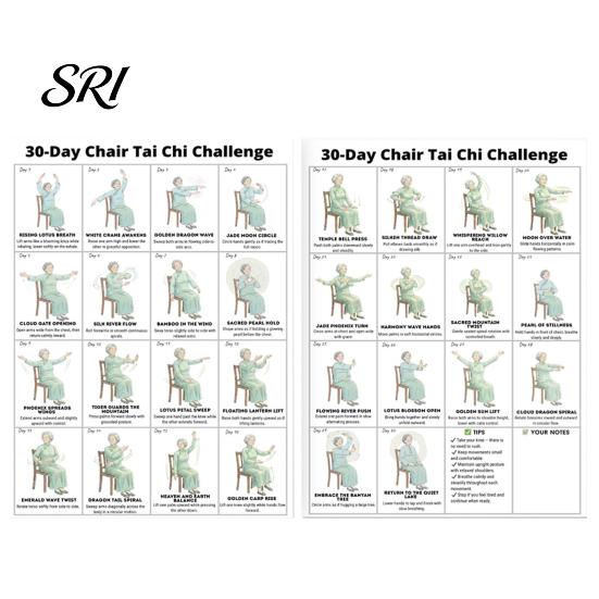 Home Gym Tai Chi Guide 2Pcs Chair Workout Posters Seated Exercises Chart 30-Day for Seniors Beginners Decor Poster A