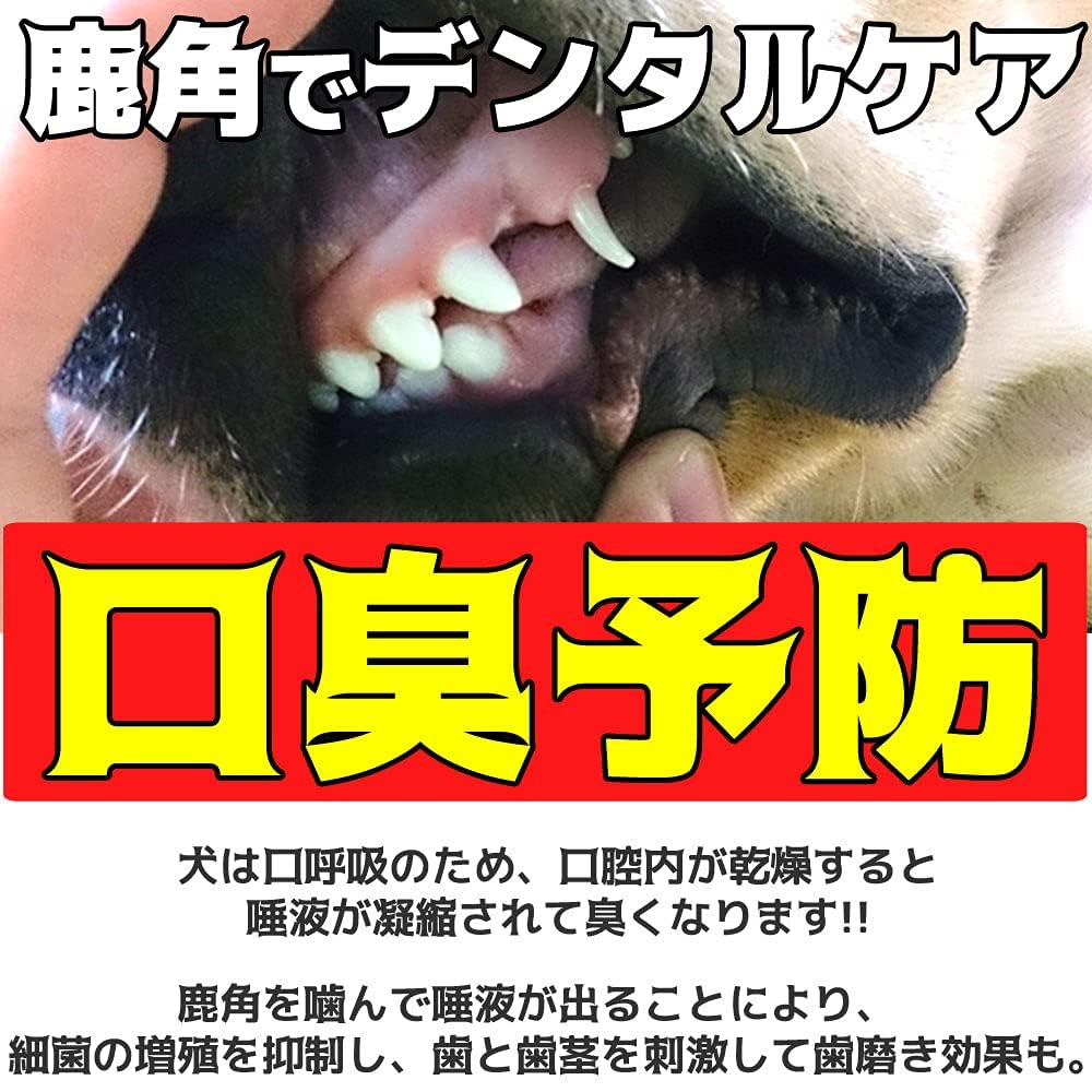 Hokkaido Deer Antler Dog Toy to Medium Thick (Large Dogs, Type, 25cm)