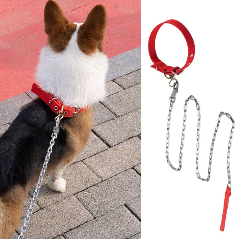 Foam Collar Iron Dog Chain Anti-wear Dog Traction Rope Pet Dog Leash for Medium and Large Dog