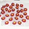 2cm Mini Wild Sunflower Daisy Mori-Style DIY Wreath Accessories