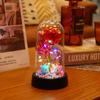 Acrylic Dome Decorative Lamp Decorative Fairy Lights Night Light Preserved Rose Lamp Holographic For Dresser Christmas