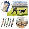 Dog Chew Sticks for Training Teeth Grinding Puppy Dental Care Bite Resistant Toy for Indoor Use