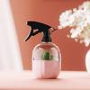 500 ml Sprühflasche, auslaufsicher, großes Fassungsvermögen, tragbar, Gartenbewässerung, Kaktus-Dekor, Gießkanne für Zuhause