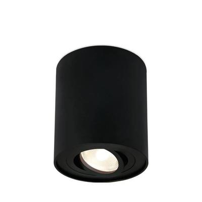 GAMA-8010B Round Aluminum Ceiling Light GU10 35W Black