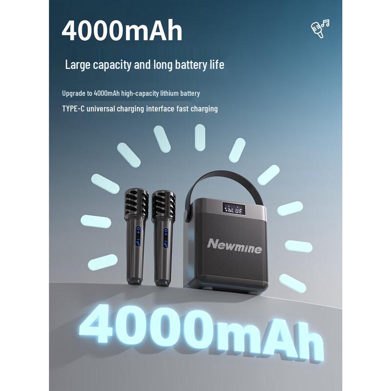 Newman K519 Portable Bluetooth Karaoke Speaker