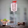 4 STÜCK Champagnergläser Cocktailgläser Elegant Designt Mundgeblasen Bleifrei Champagnerkelche 4er Set