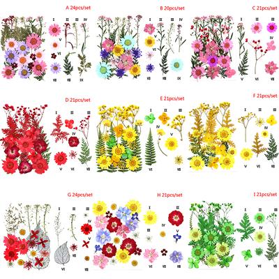 24 Pezzi Fiori Pressati Misti Fiori Secchi Fai da Te Arte Decorazioni Floreali Collezione Regalo