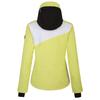Dare 2B Womens/Ladies Chute Ski Jacket