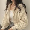 Autumn and Winter Knitted Cardigan Women Hooded Short Sweater Jacket Casual Loose Zipper Office Short Tops Hollow Out Fashion Elegant Office Clothing