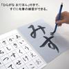 Akashiya Water Writing Set with Thick Brush AZ-140MF
