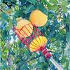 Fruit Picker High-Altitude Picking Tool High-Altitude Fruit Picker Fruit Picking Tool Fruit Tree Picker