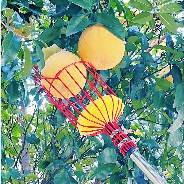 Fruit Picker High-Altitude Picking Tool High-Altitude Fruit Picker Fruit Picking Tool Fruit Tree Picker
