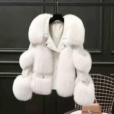 CHEST Female Plush Jacket Female Warm Thickened Jacket Fashion Ladies Plush Jacket Top Winter Sheepskin Coat Zipper Artificial Fox Fur Hooded Collar