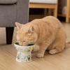 Non-Slip Ceramic Cat Bowl Diagonal High Foot Drinking Bowl  Cervical Vertebra Protection