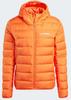 Adidas Terrex Multi Light Hooded Down Jacket Men