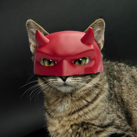 Yousheng Bat Cat Mask Bat Superhero Pet Mask Crime Fighter Cats Cosplay Mask for Costume Parties Halloween Festivals Dress-up Accessory