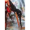 Original Character 1 7 C.c.chalcosoma  Caucasus Beetle  Figure