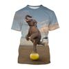 New Fun Animal Elephant Print Children's T-shirt with Street Elements O-Neck Plus Size Comfortable Top Short Sleeves