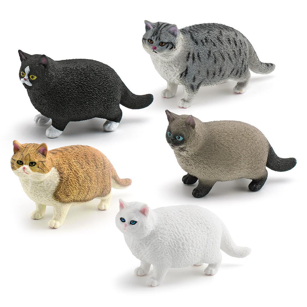 Siamese Cat Animal Model Pvc Decor For Kids Educational Playroom Collectible Toy