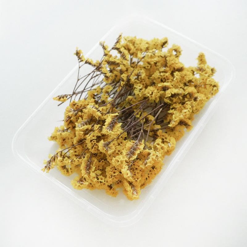 Man Yue Handcrafted DIY Sachet Candle Kit: Natural Dried Lavender Flowers for Decoration
