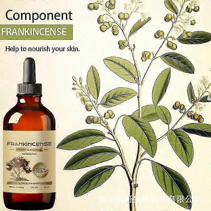 Frankincense Essential Oil Pure and Natural Nourishes the Skin Suitable for Diffusers and Aromatherapy