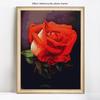 DIY Diamond Painting Full Round Rhinestone Picture Rose Diamond Embroidery Cross Stitch