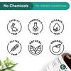 Naturalis Eucalyptus Oil Essential Oil - Pure Eucalyptus Essential Oil For Aromatherapy, Skin & Hair Care, Massage - 30Ml