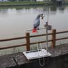 Stainless Steel Bird Standing Frame Parrots Training Rod Supplies with Two Food Bowl