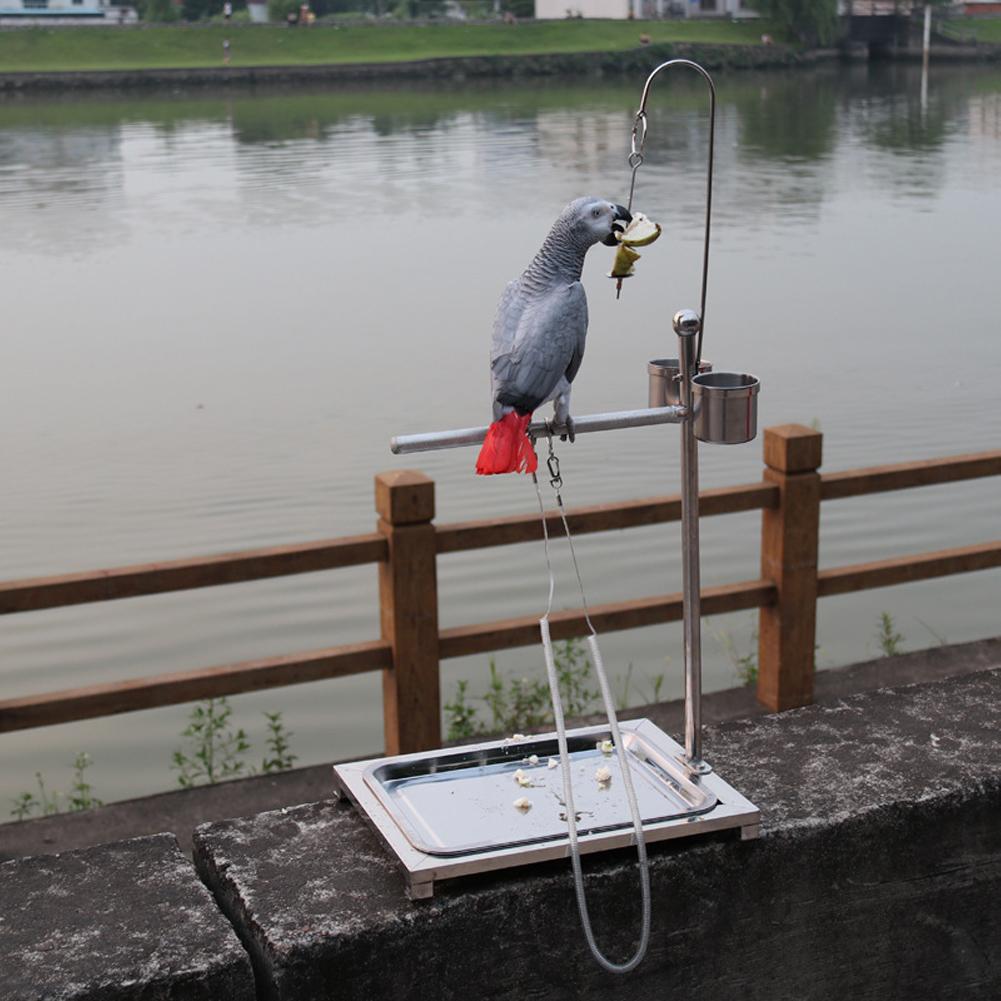 Stainless Steel Bird Standing Frame Parrots Training Rod Supplies with Two Food Bowl