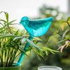 Self Watering Shape Watering Bulb Automatic Clear Plant Planter Insert Bird Irrigation Spikes for Indoor