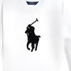 Polo Ralph Lauren Color Block Logo Long Sleeve Dress Kids Dresses White 313950935-001