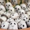20 Pcs Halloween Miniature Ghost Figurine Cute Tiny Resin White Ghost Statue for Garden Bonsai Sand Table Decoration