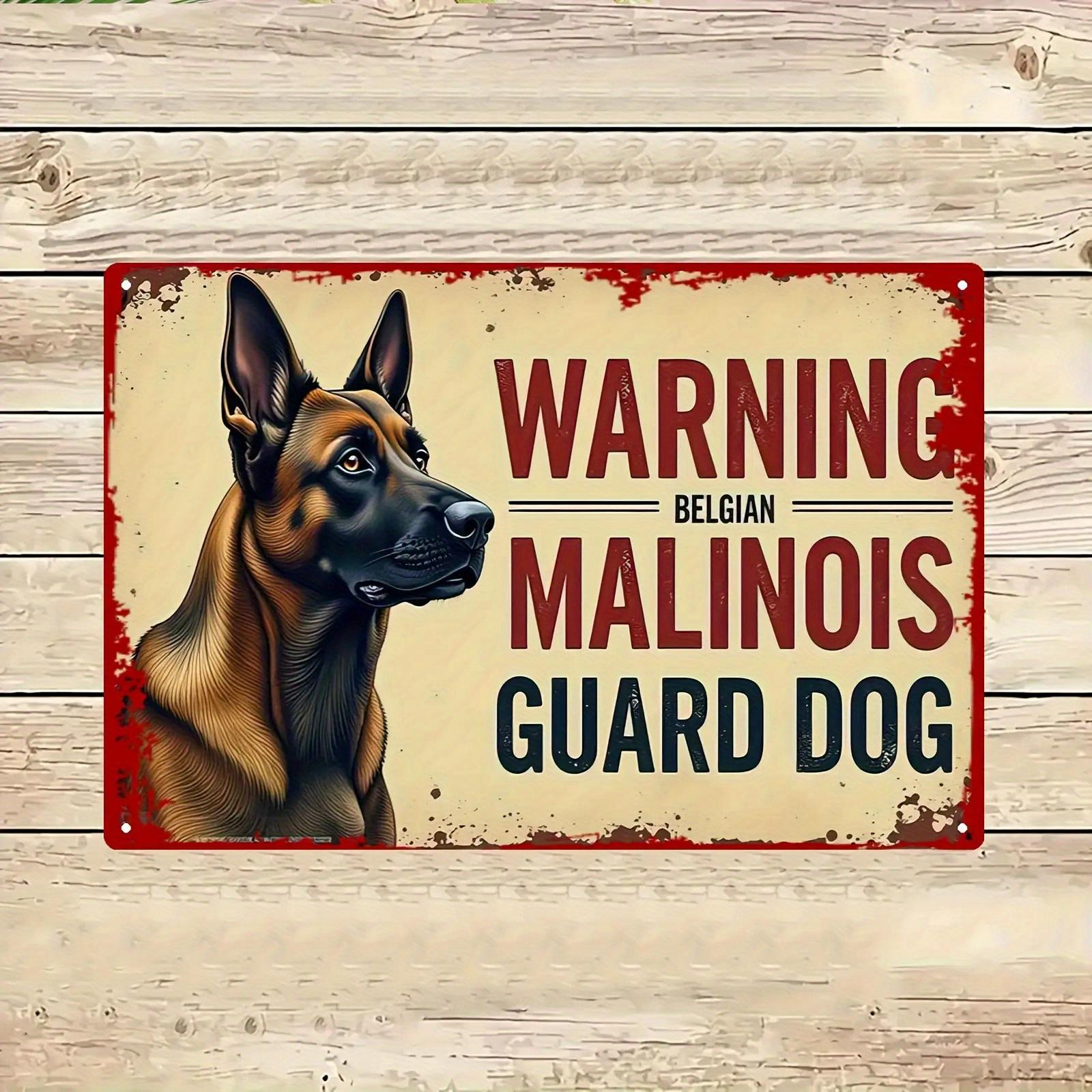 Vintage Security Warning Metal Tin Sign  Belgian Malinois Guard Dog Poster with Warning Text HeavyDuty IndoorOutdoor Decorat 20x30cm（7.8x11.8inch）